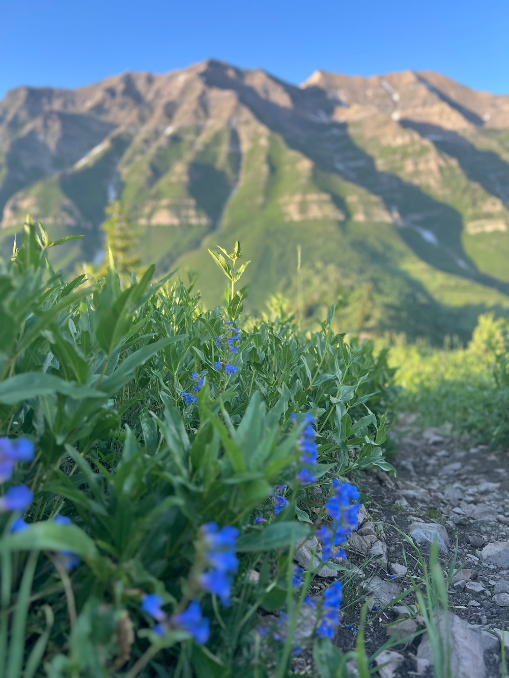 Everything You Need to Know About Hiking Mount Timpanogos
