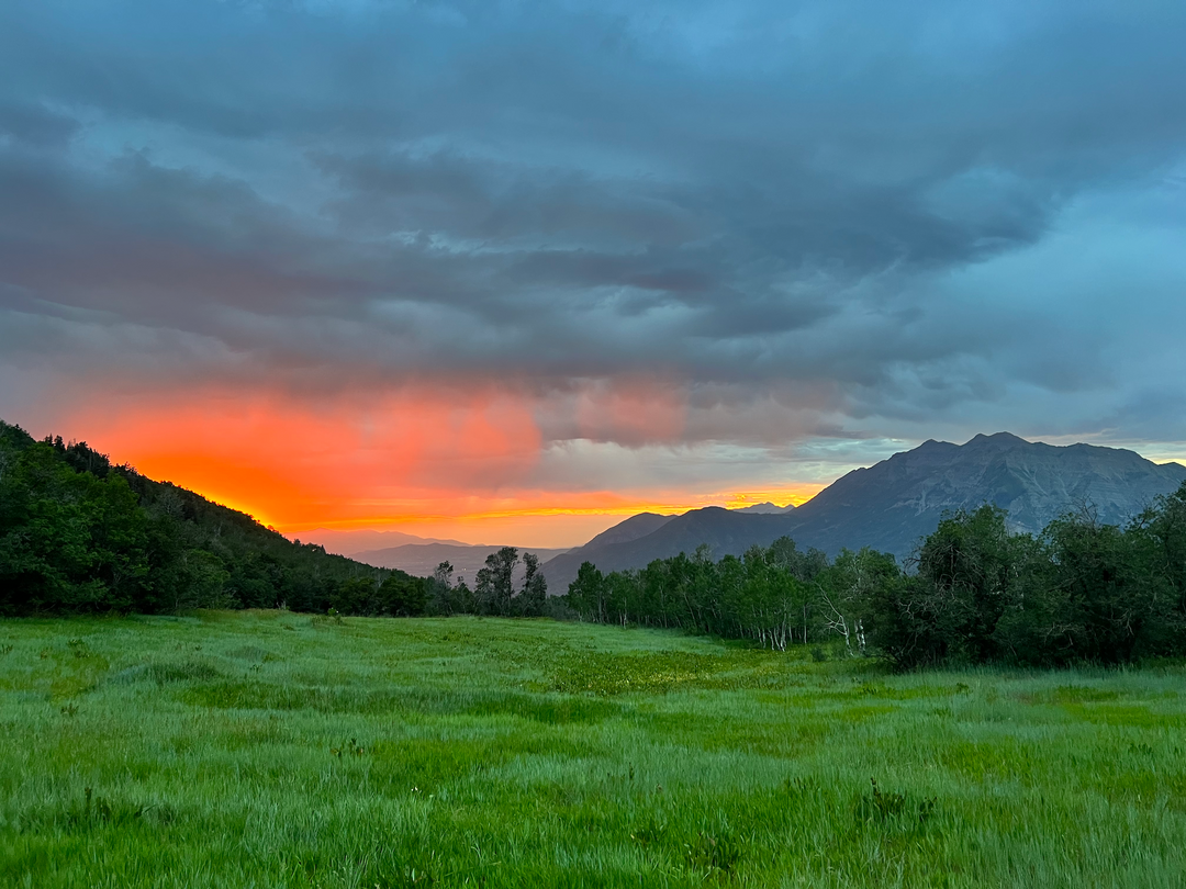Feeling stressed? Hit the trail. 🥾🌿