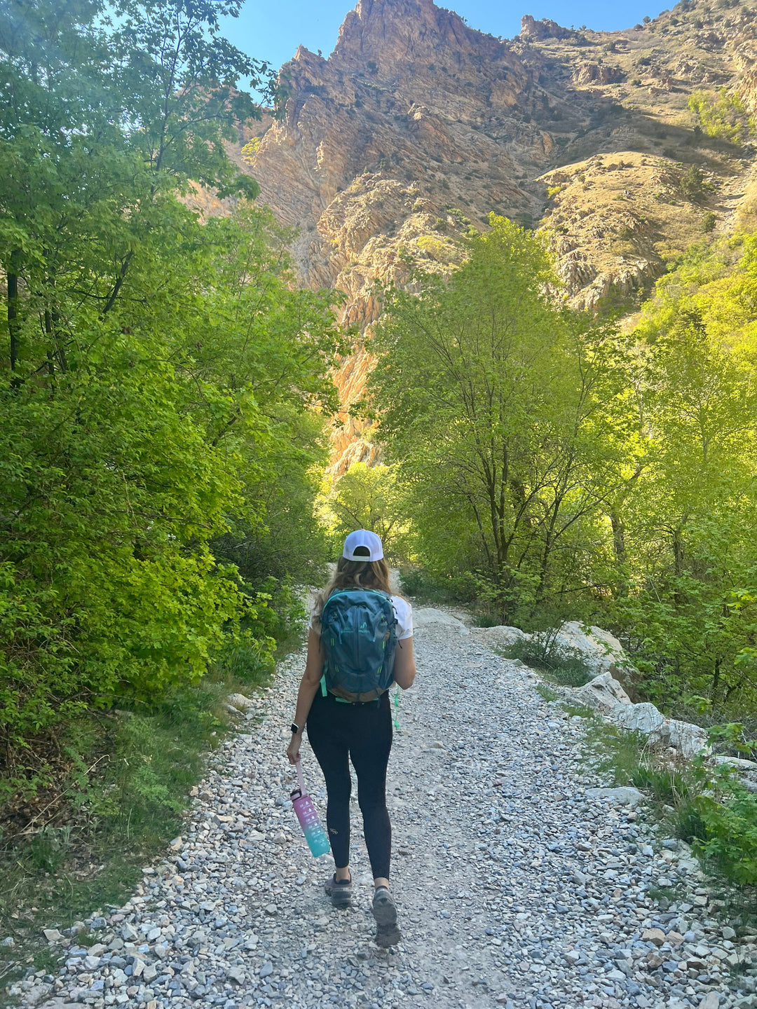 The Attention Crisis — and How Nature Can Help You Get It Back