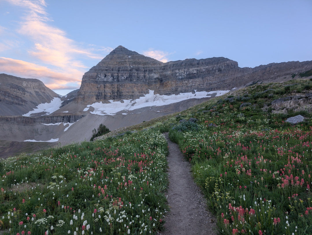 Hiking the Timpooneke Trail to Timpanogos