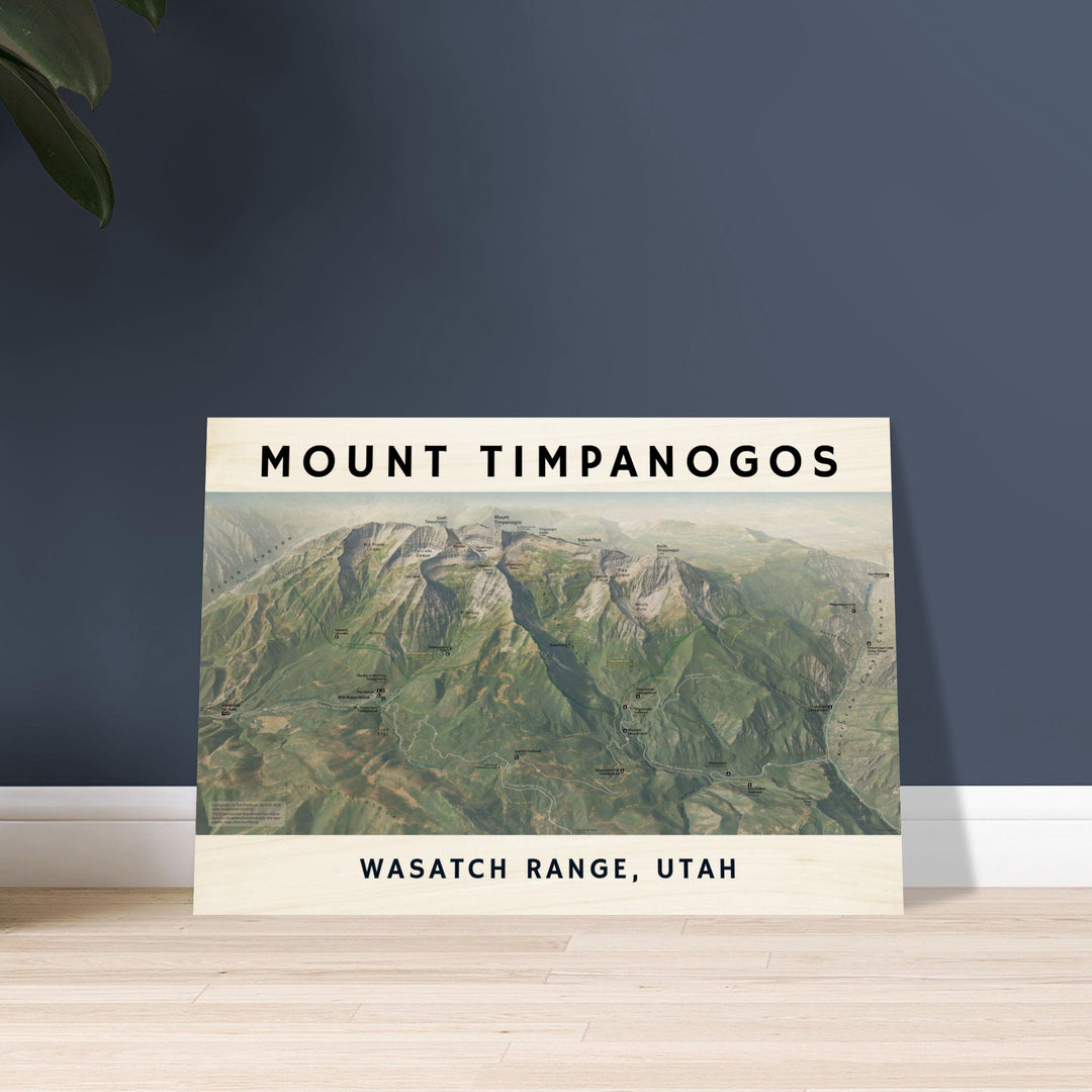 34f8f58f-d241-4db0-9b9f-5b6efe767906