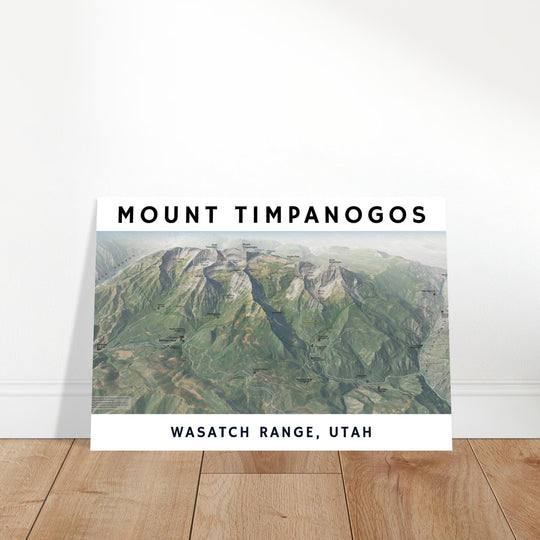 47b2054e-cae4-449a-bcea-2b75c5b55c29