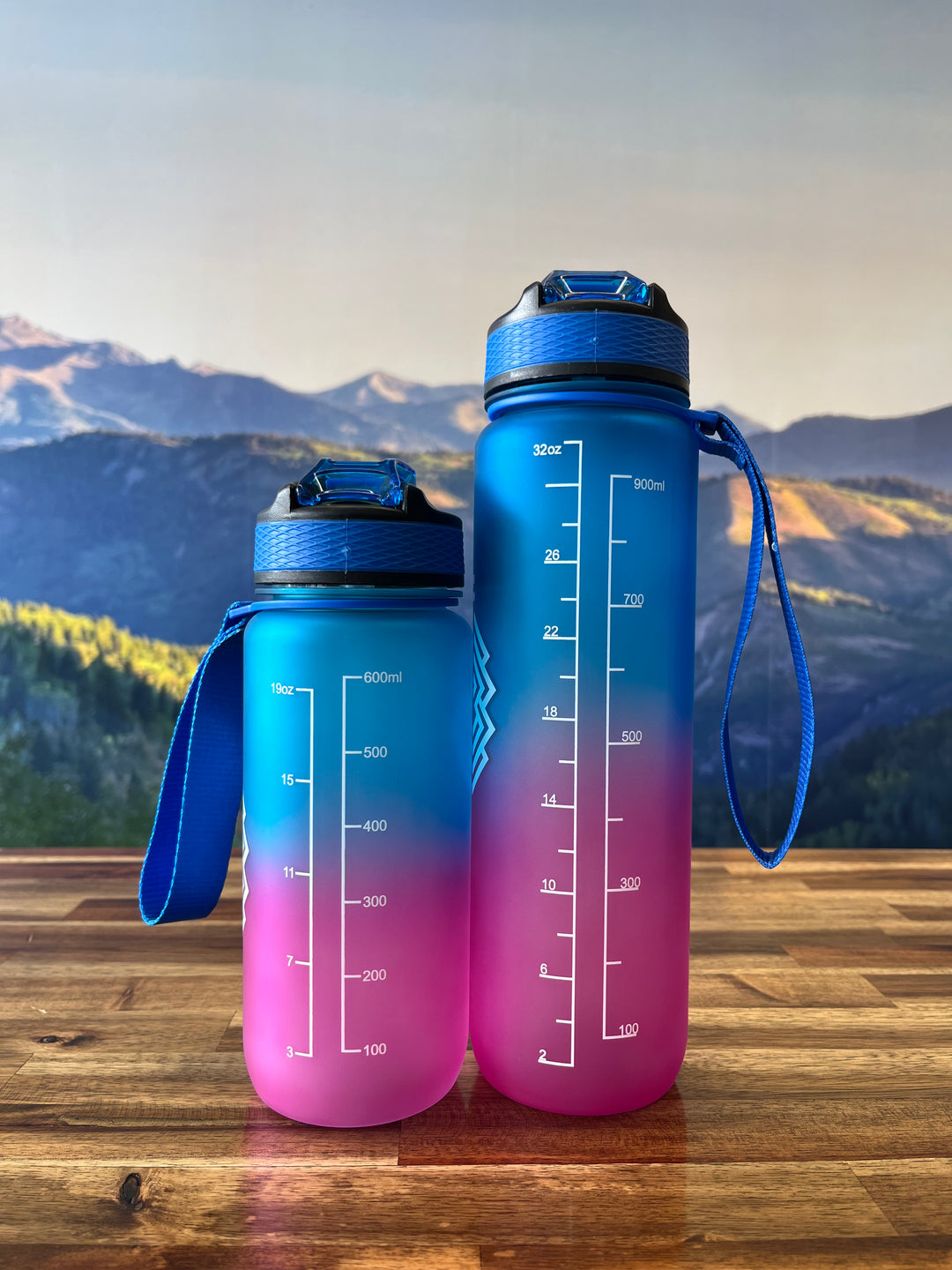 Timpanogos Hiking Co. Motivational Water Bottle (San Junipero)