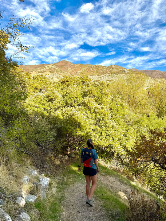 Timpanogos Elevation 22L Backpack (Alta)