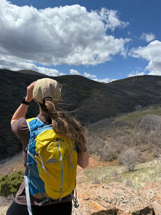 Timpanogos + Pingora Lucid 20 Backpack (Moab)