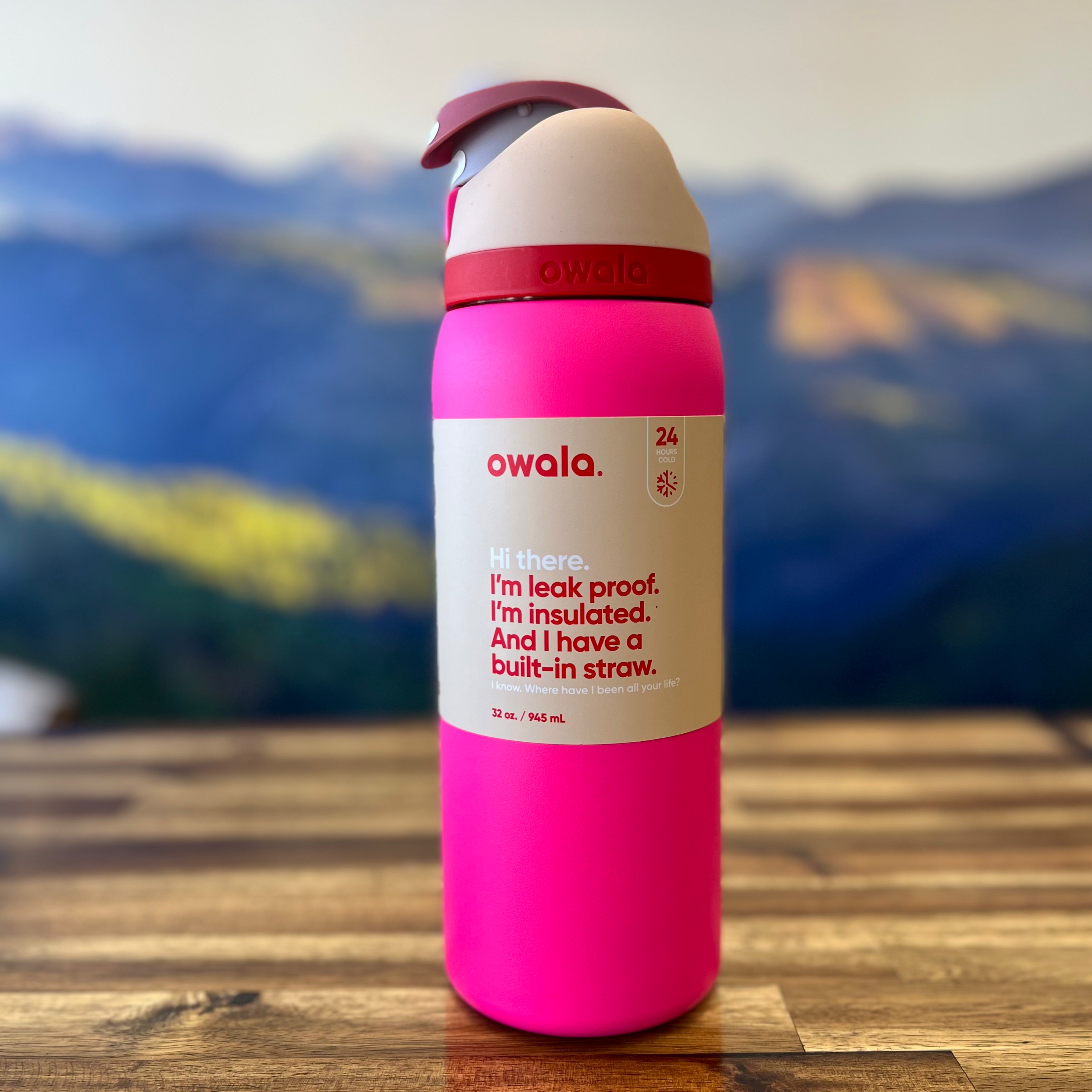 Owala FreeSip Pink Can You See Me? Stainless Steel Water Bottle 32 oz
