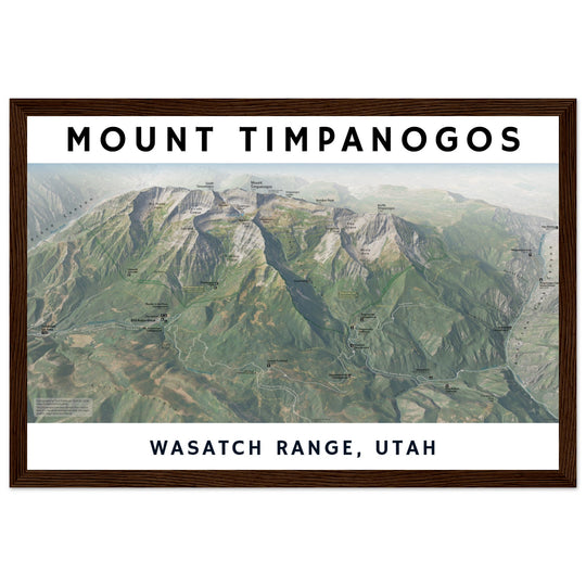 d1fbb913-22b4-446c-8995-a5ef0286a649