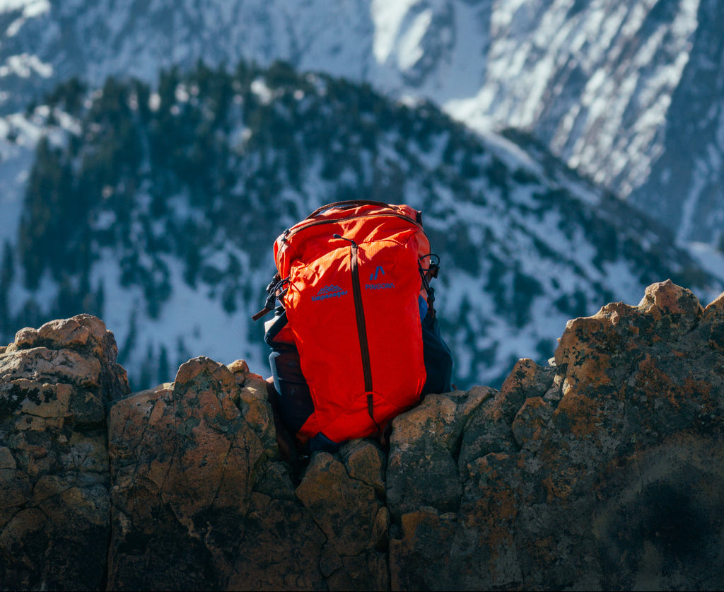 Backpacks