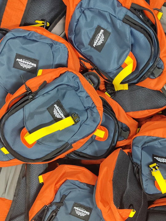 Alta Crossbody Sling Bag 4L