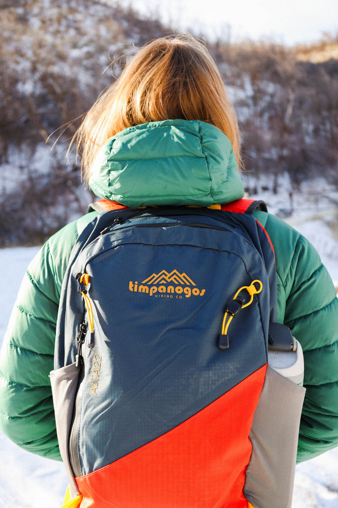 Timpanogos Elevation 22L Backpack (Alta)