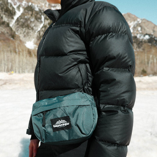 Alta Hip Pack 2L
