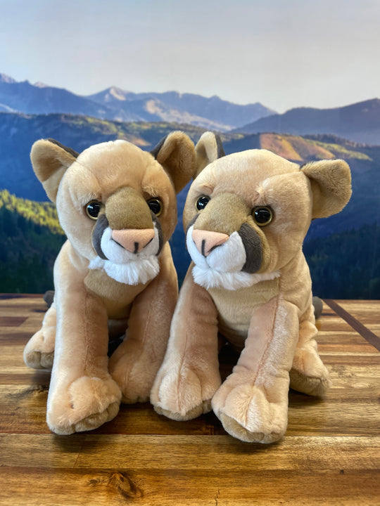 Mountain Lion Plushy (Wild Republic)