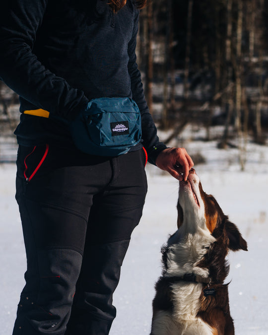 Alta Hip Pack 2L