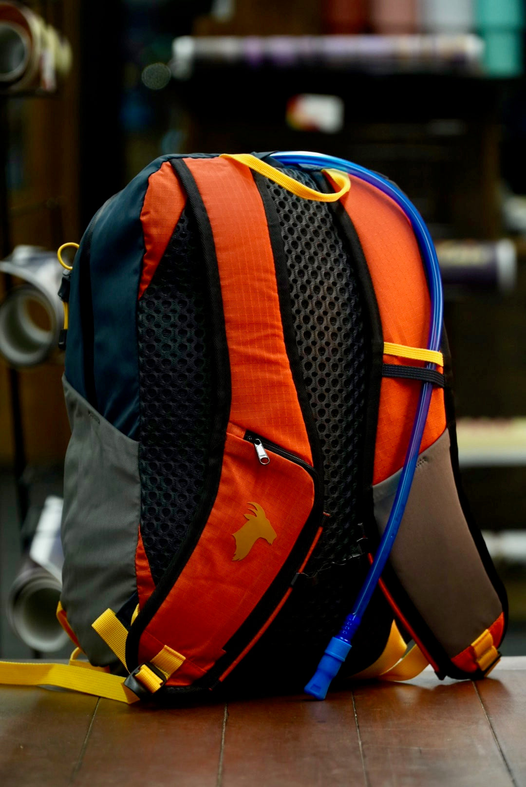 Timpanogos Elevation 22L Backpack (Alta)