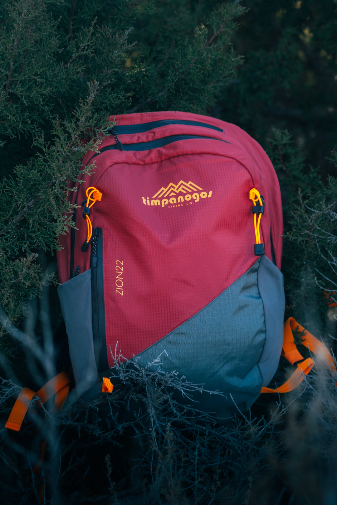 Timpanogos Elevation 22L Backpack (Zion)