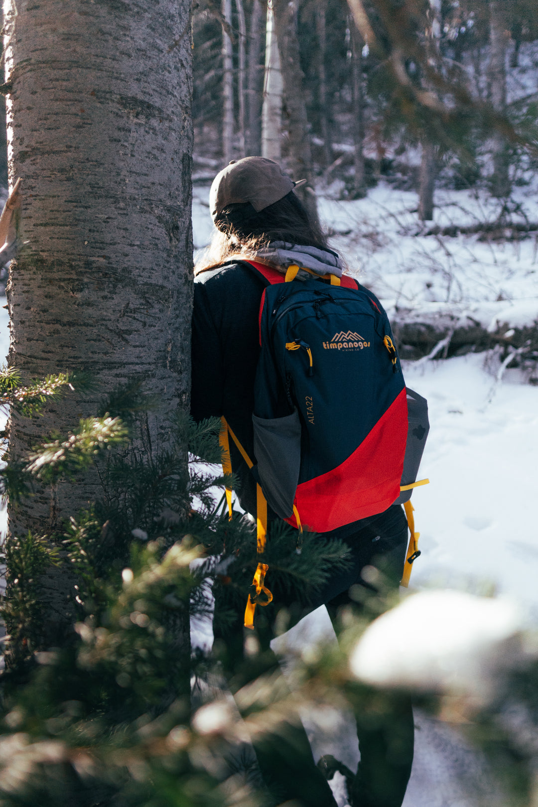 Timpanogos Elevation 22L Backpack (Alta)