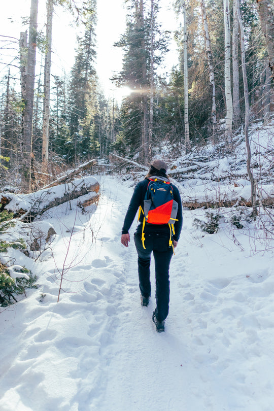 Timpanogos Elevation 22L Backpack (Alta)