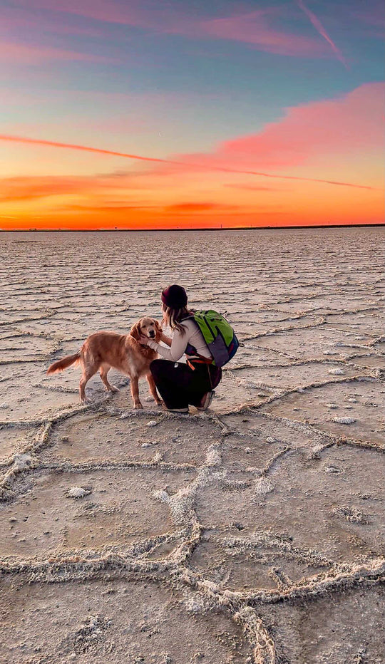 Timpanogos Elevation 22L Backpack (Moab)