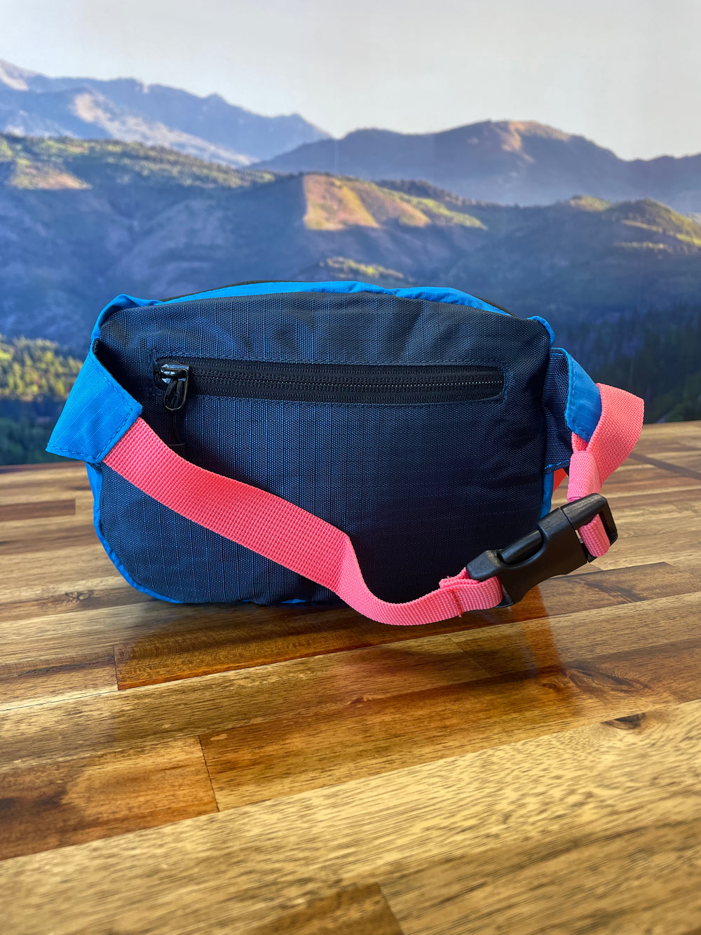 Timp Hip Pack 2L