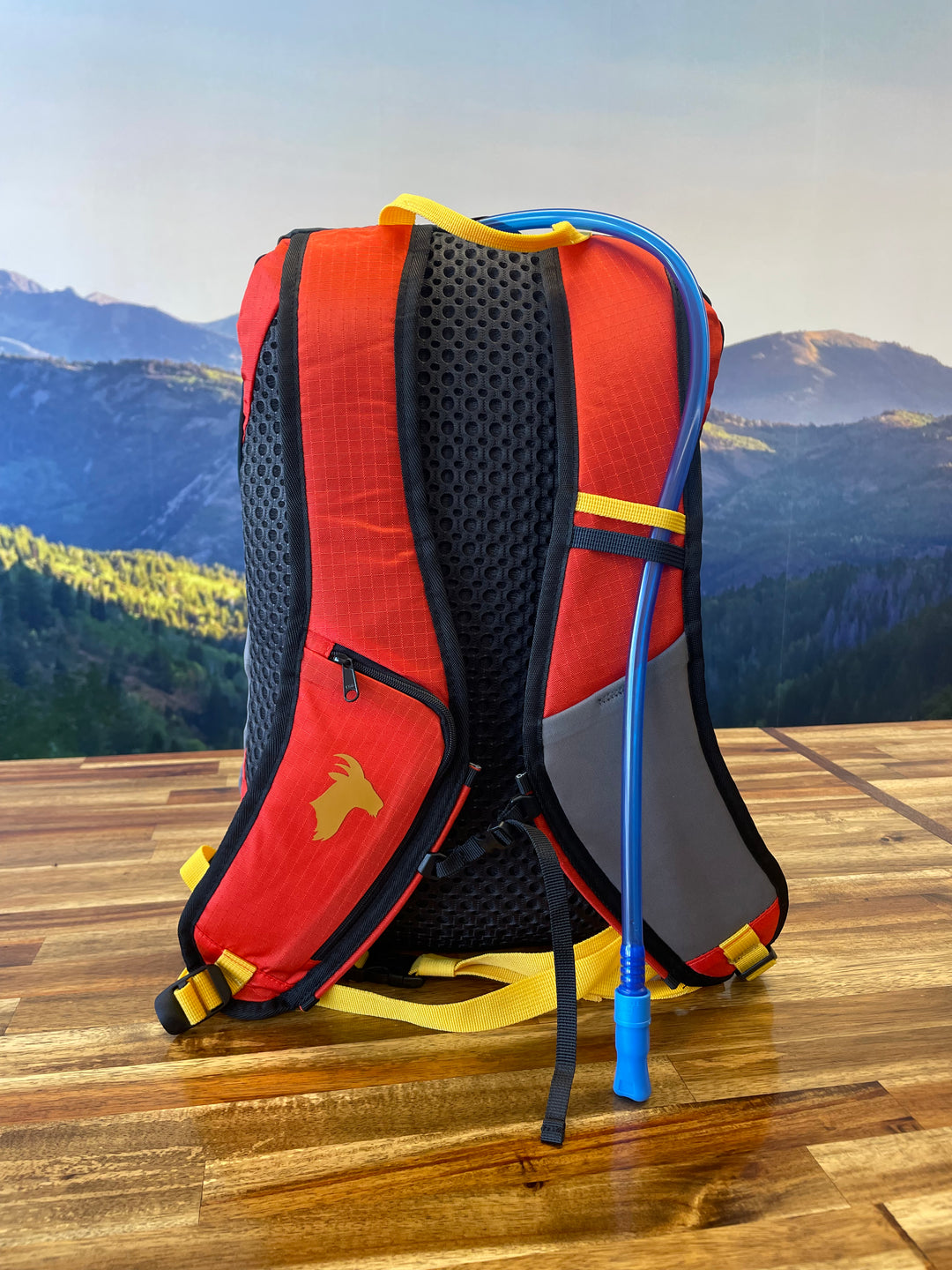 Timpanogos Elevation 22L Backpack (Alta)