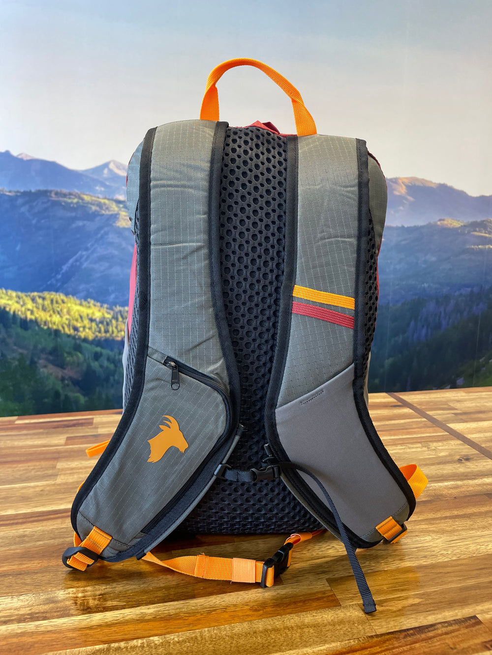 Elevation 22L Backpack (Zion)