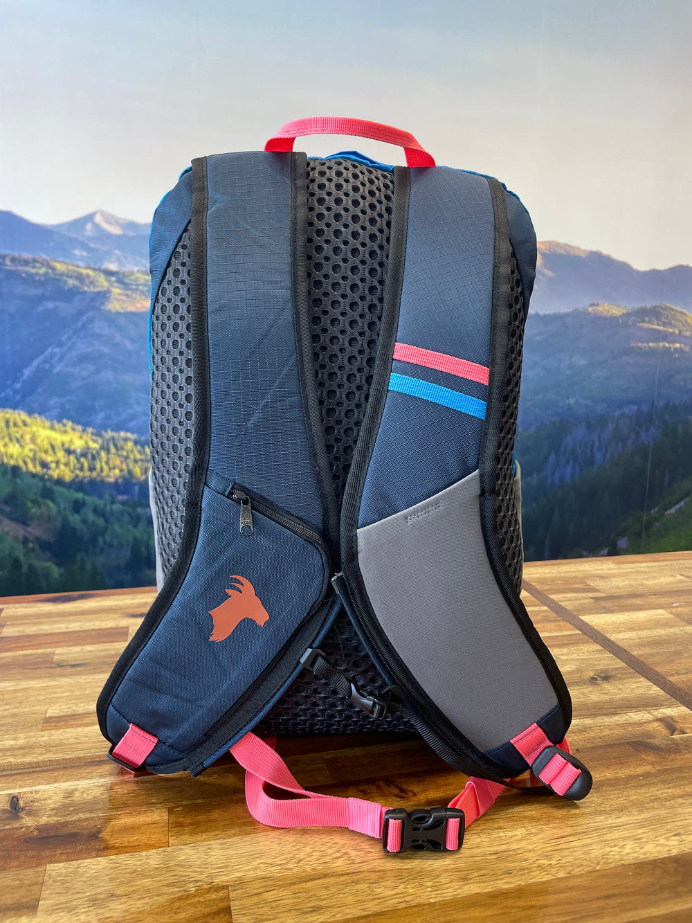 Elevation 22L Backpack (Timp)