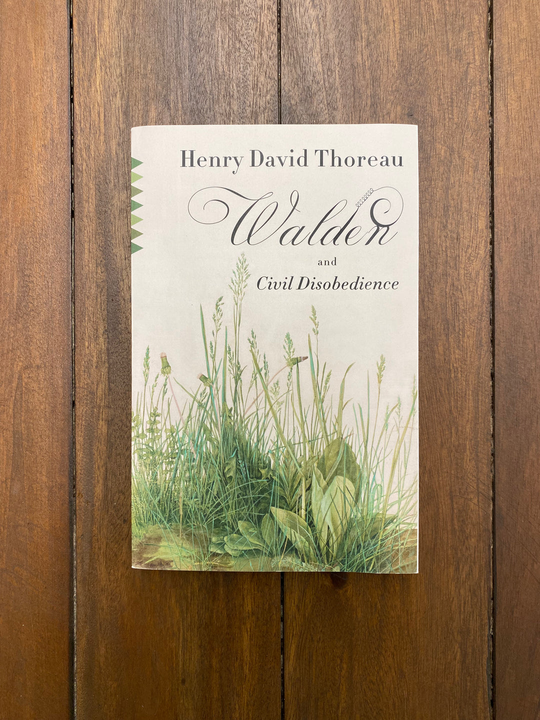 Walden and Civil Disobedience - Henry David Thoreau