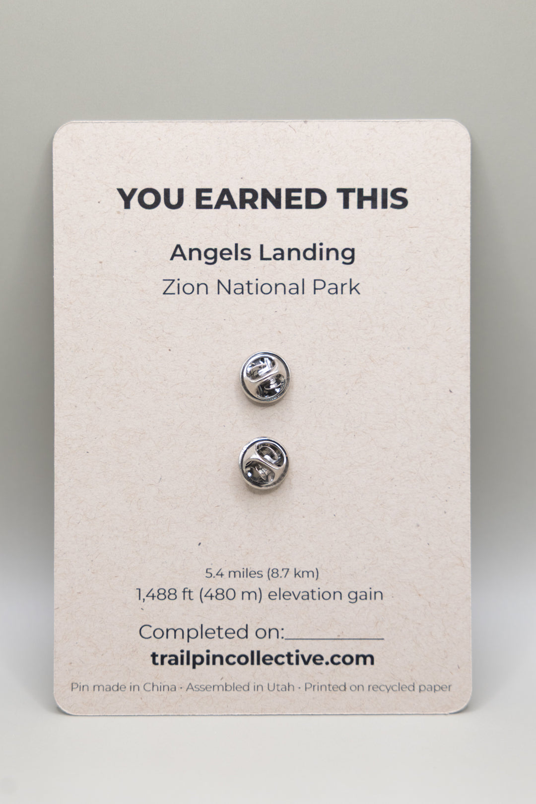 Angels Landing Trail Pin