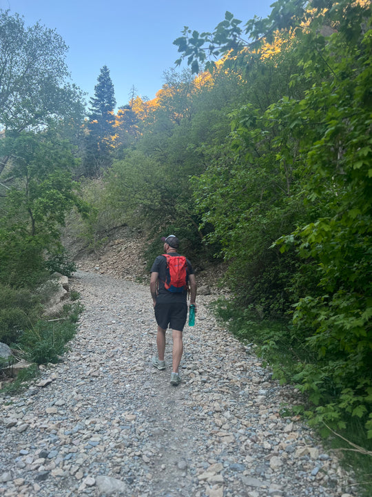 Timpanogos + Pingora Lucid 20 Backpack (Zion)