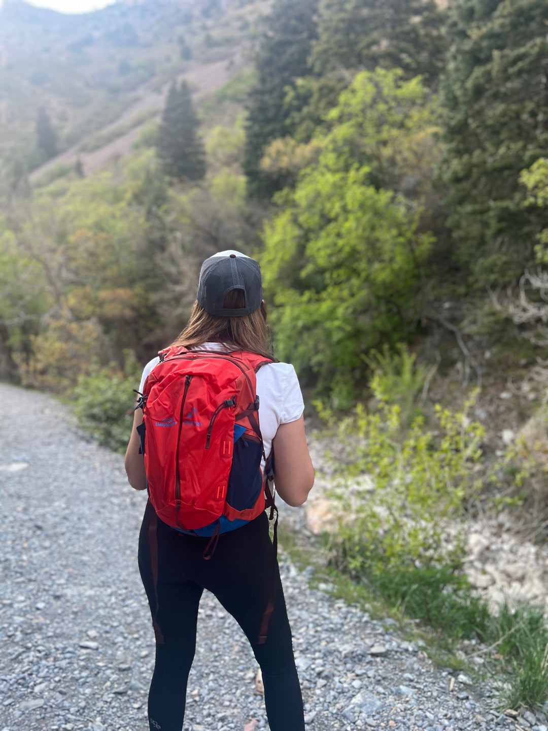 Timpanogos + Pingora Lucid 20 Backpack (Zion)