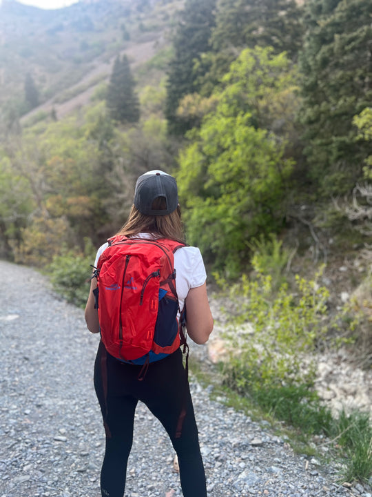 Timpanogos + Pingora Lucid 20 Backpack (Zion)