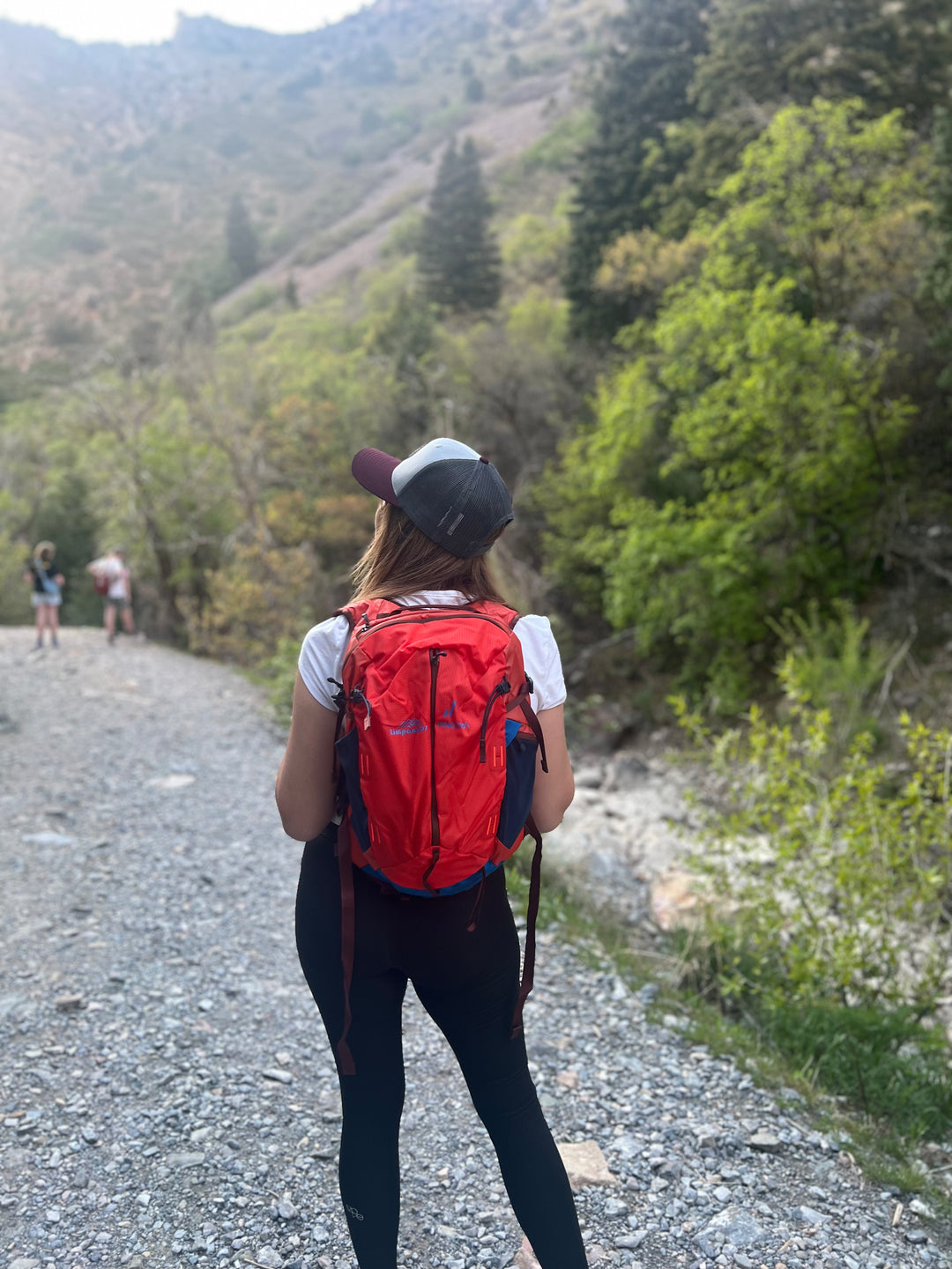 Timpanogos + Pingora Lucid 20 Backpack (Zion)