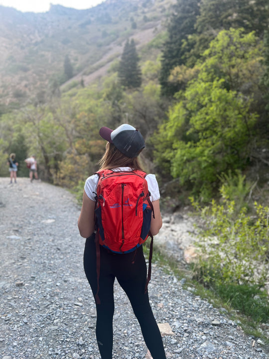 Timpanogos + Pingora Lucid 20 Backpack (Zion)