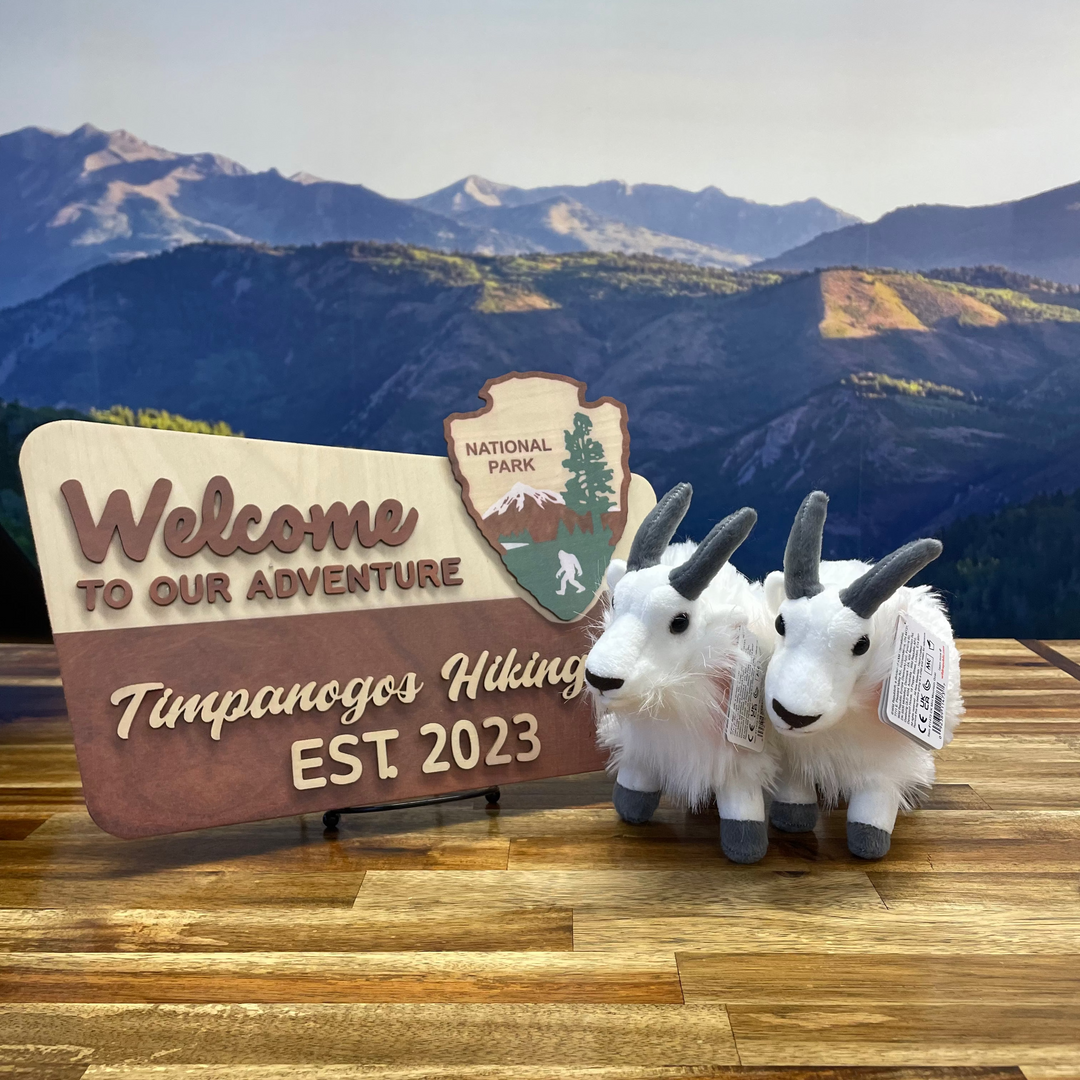 Mountain Goat Plushy (Wild Republic)