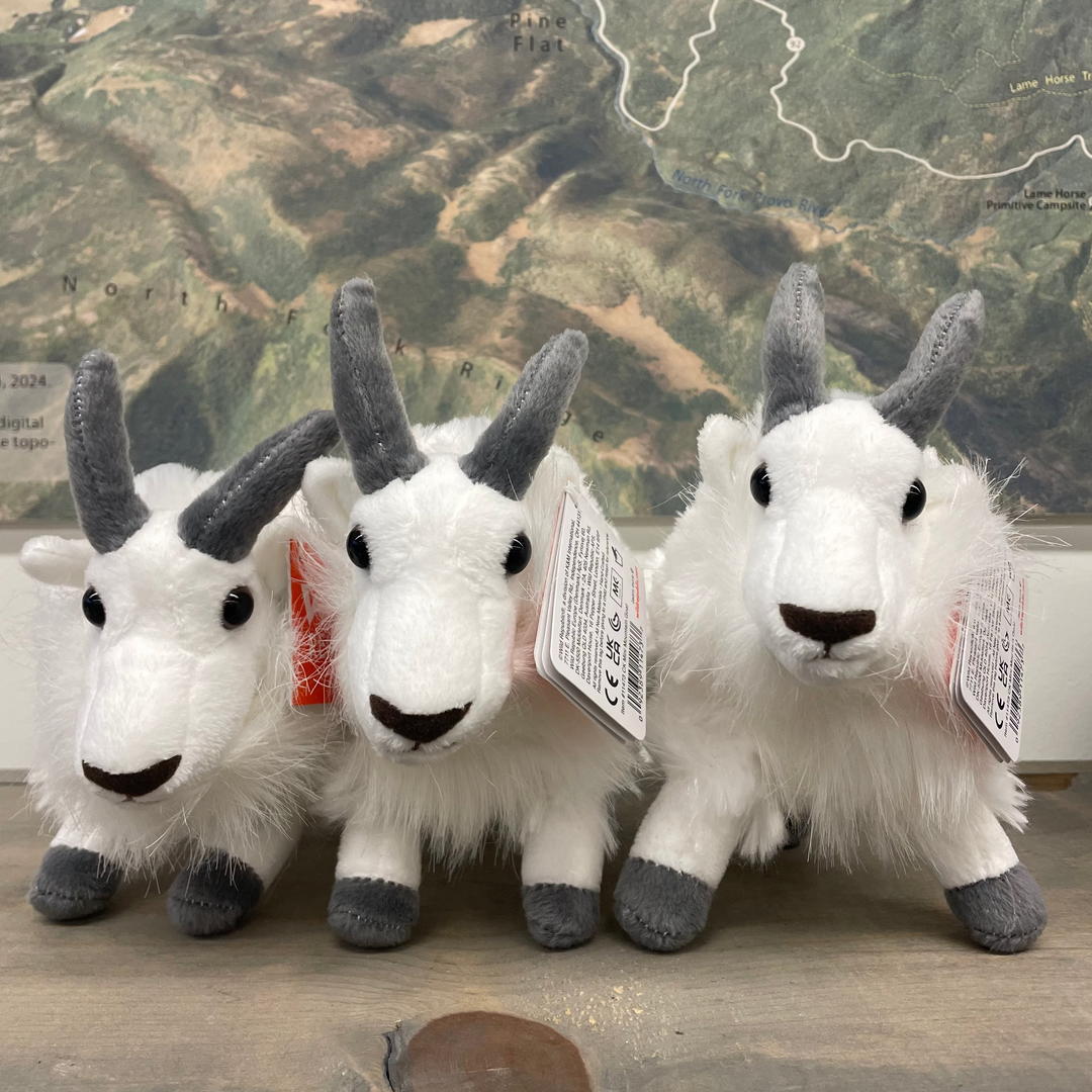 Mountain Goat Plushy (Wild Republic)