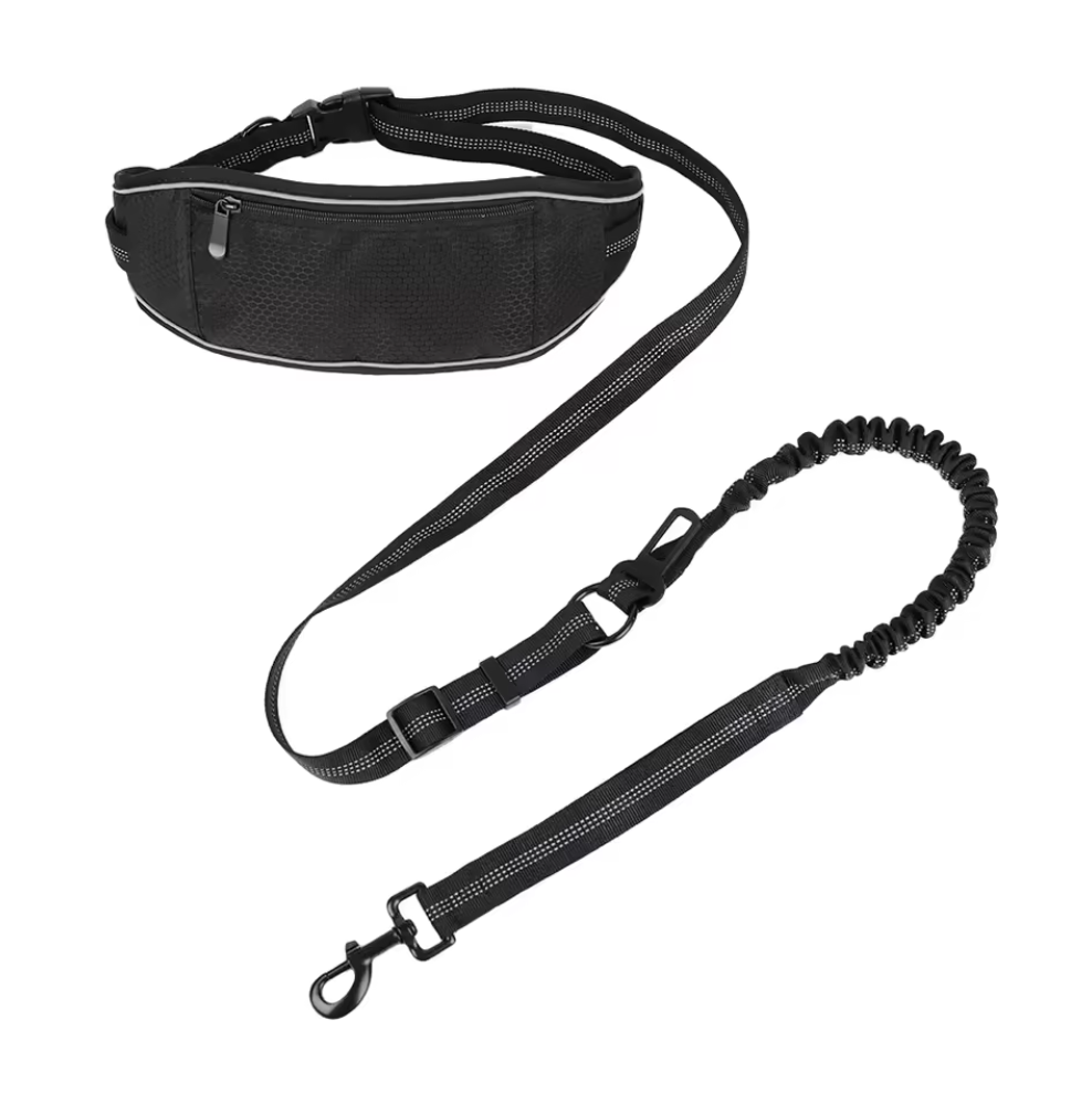 NEW! Timpanogos Trail Dog Leash System