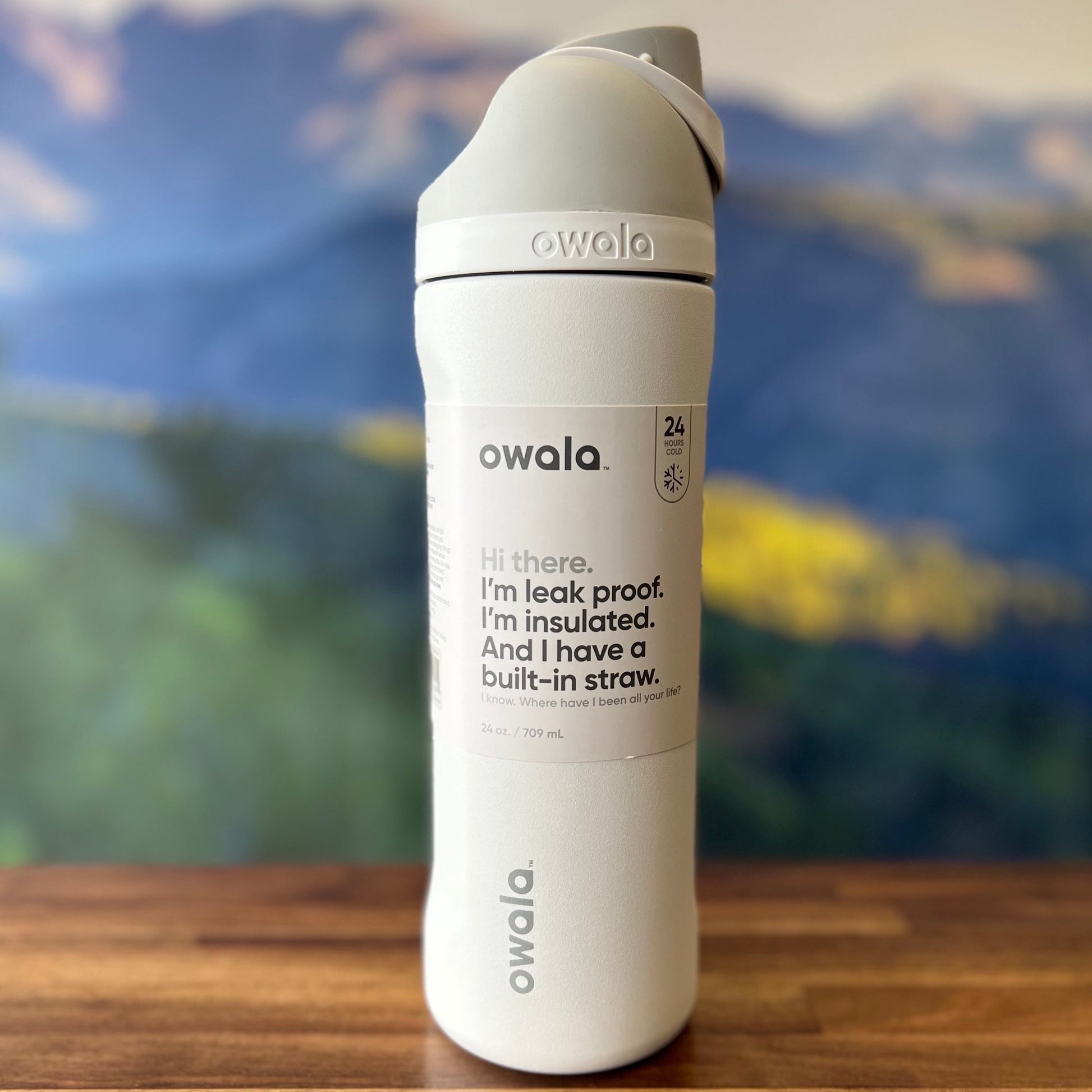 Owala® FreeSip® Insulated Stainless Steel Water Bottle BPA-Free, 24-Ou –  Timpanogos Hiking Co.