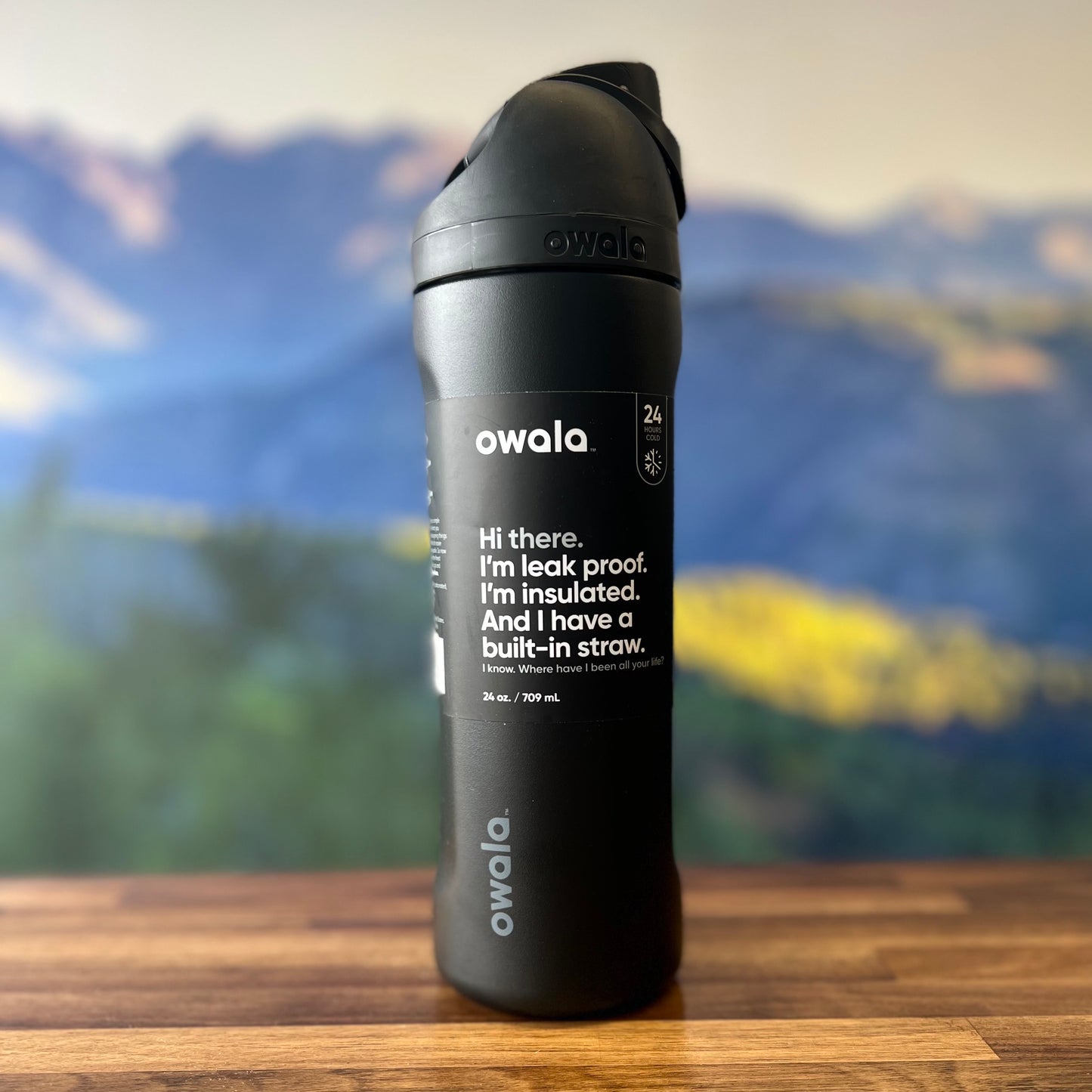 Owala 24 oz. FreeSip Stainless Steel Water Bottle